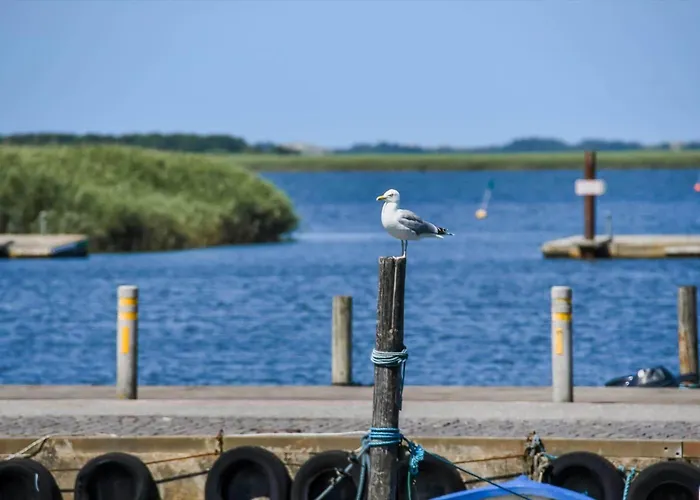 C11751-hemmet-kirkehojvej-38-m6 Apartmán Hemmet